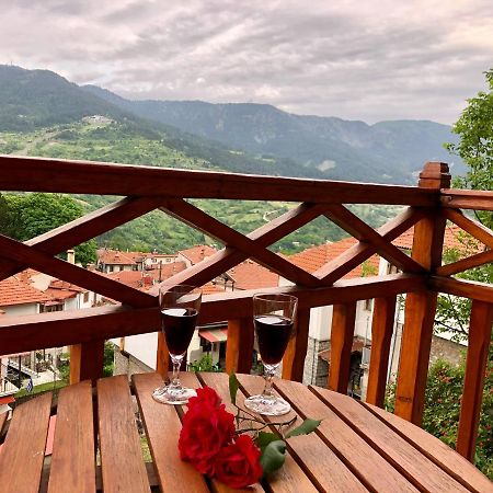 Apostolos Hotel Metsovo Exteriör bild