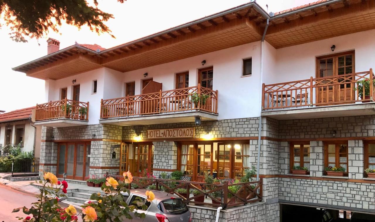Apostolos Hotel Metsovo Exteriör bild