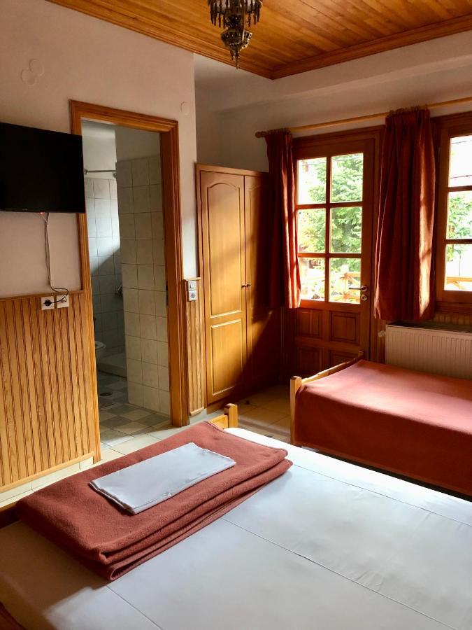 Apostolos Hotel Metsovo Exteriör bild