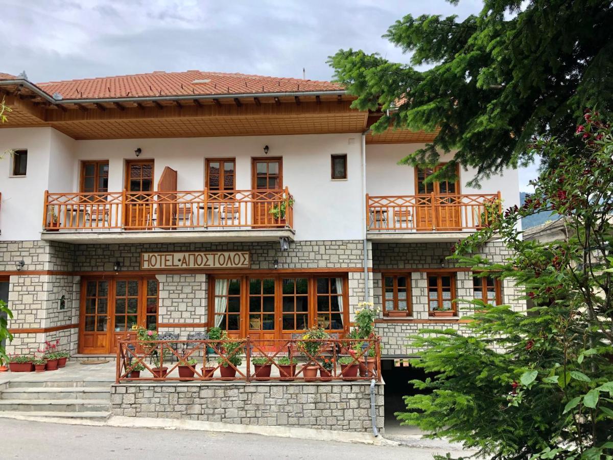 Apostolos Hotel Metsovo Exteriör bild