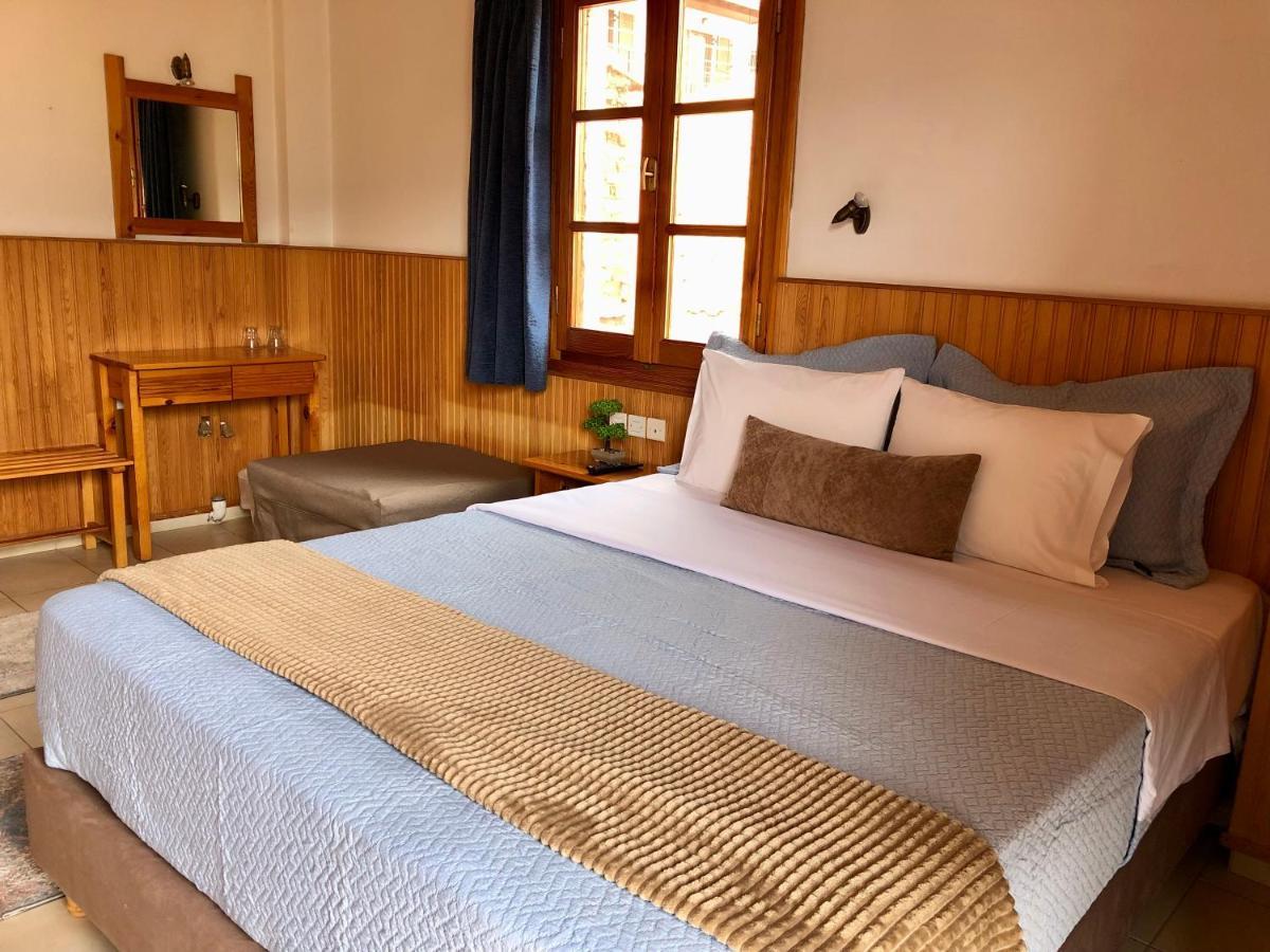 Apostolos Hotel Metsovo Exteriör bild