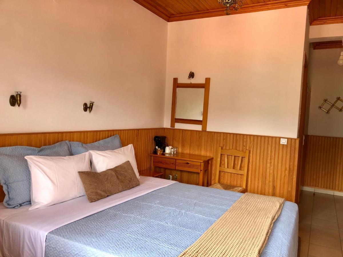 Apostolos Hotel Metsovo Exteriör bild