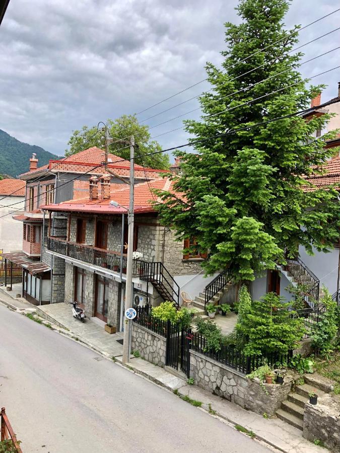 Apostolos Hotel Metsovo Exteriör bild