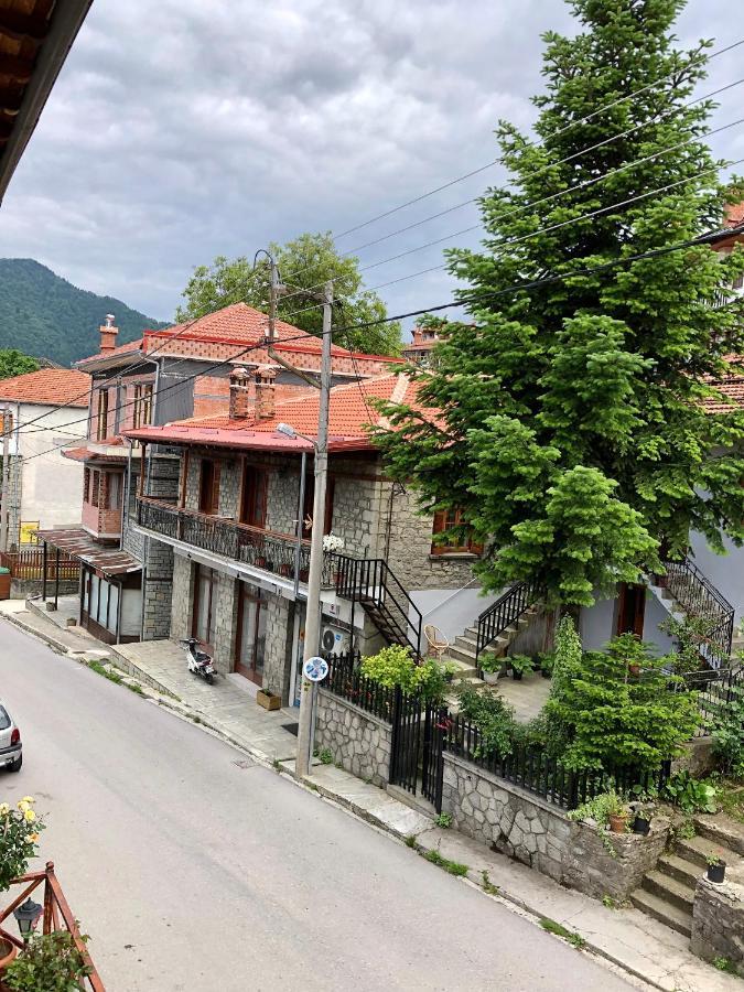 Apostolos Hotel Metsovo Exteriör bild