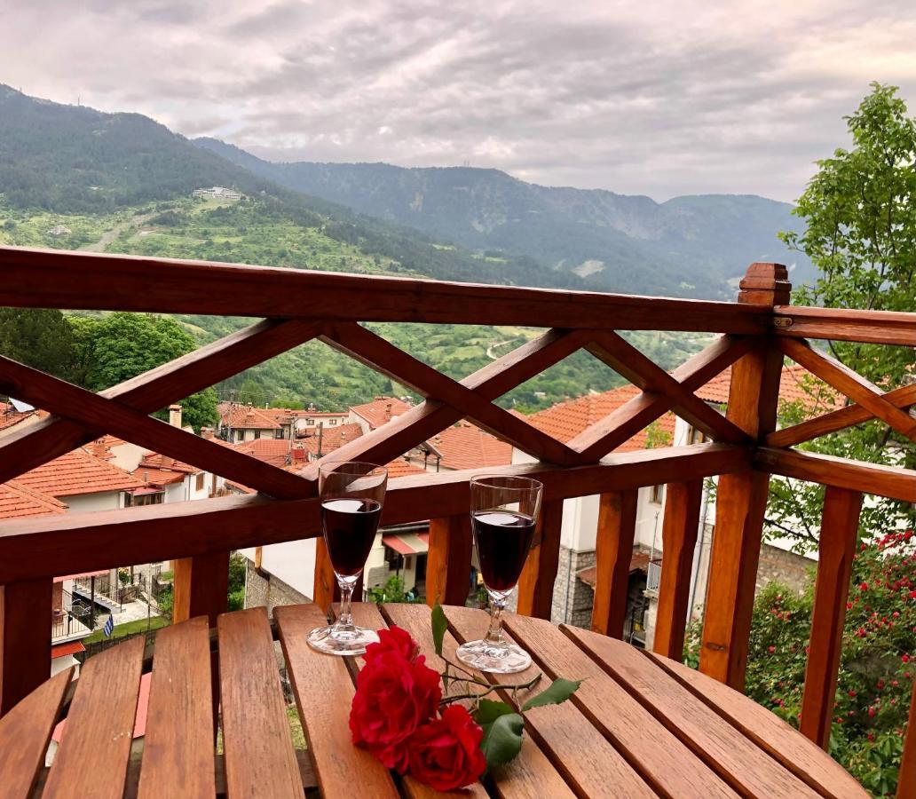 Apostolos Hotel Metsovo Exteriör bild