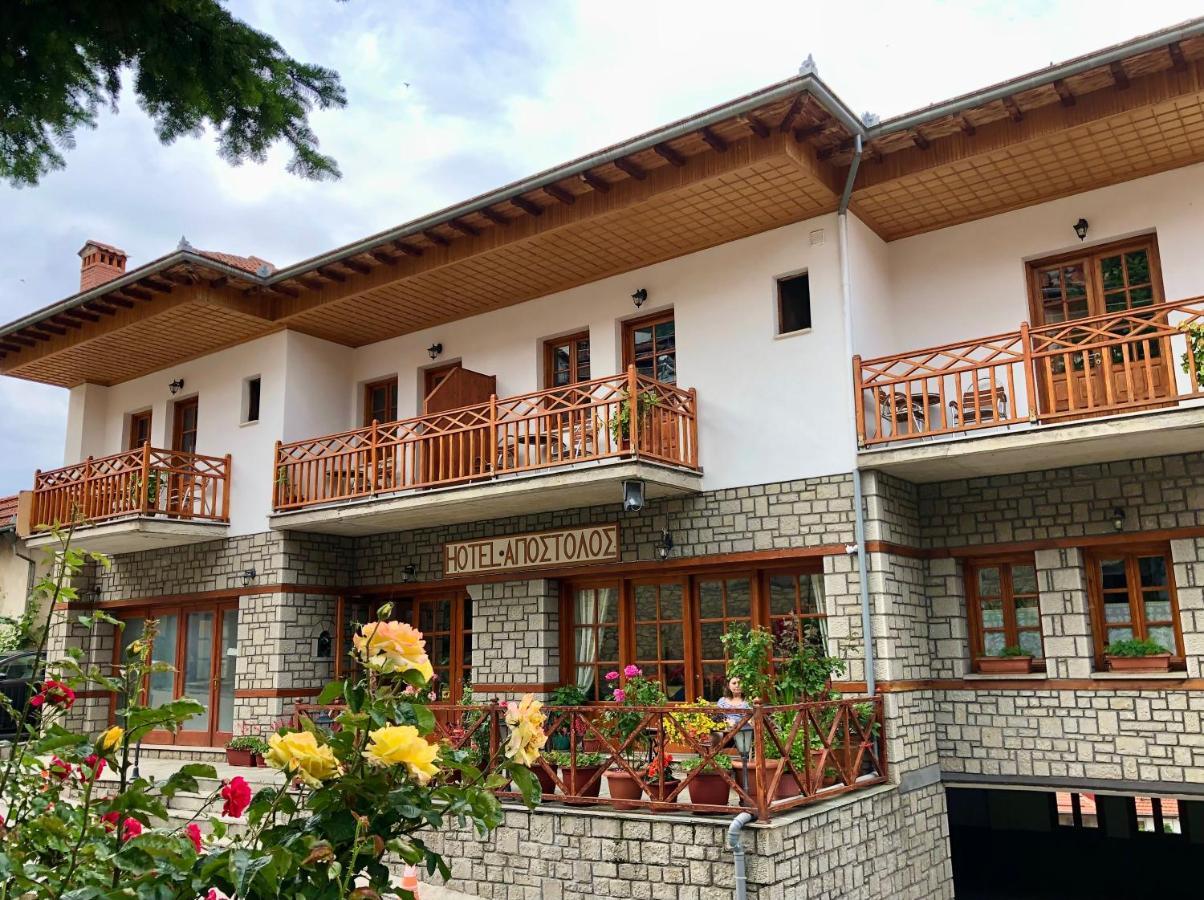 Apostolos Hotel Metsovo Exteriör bild