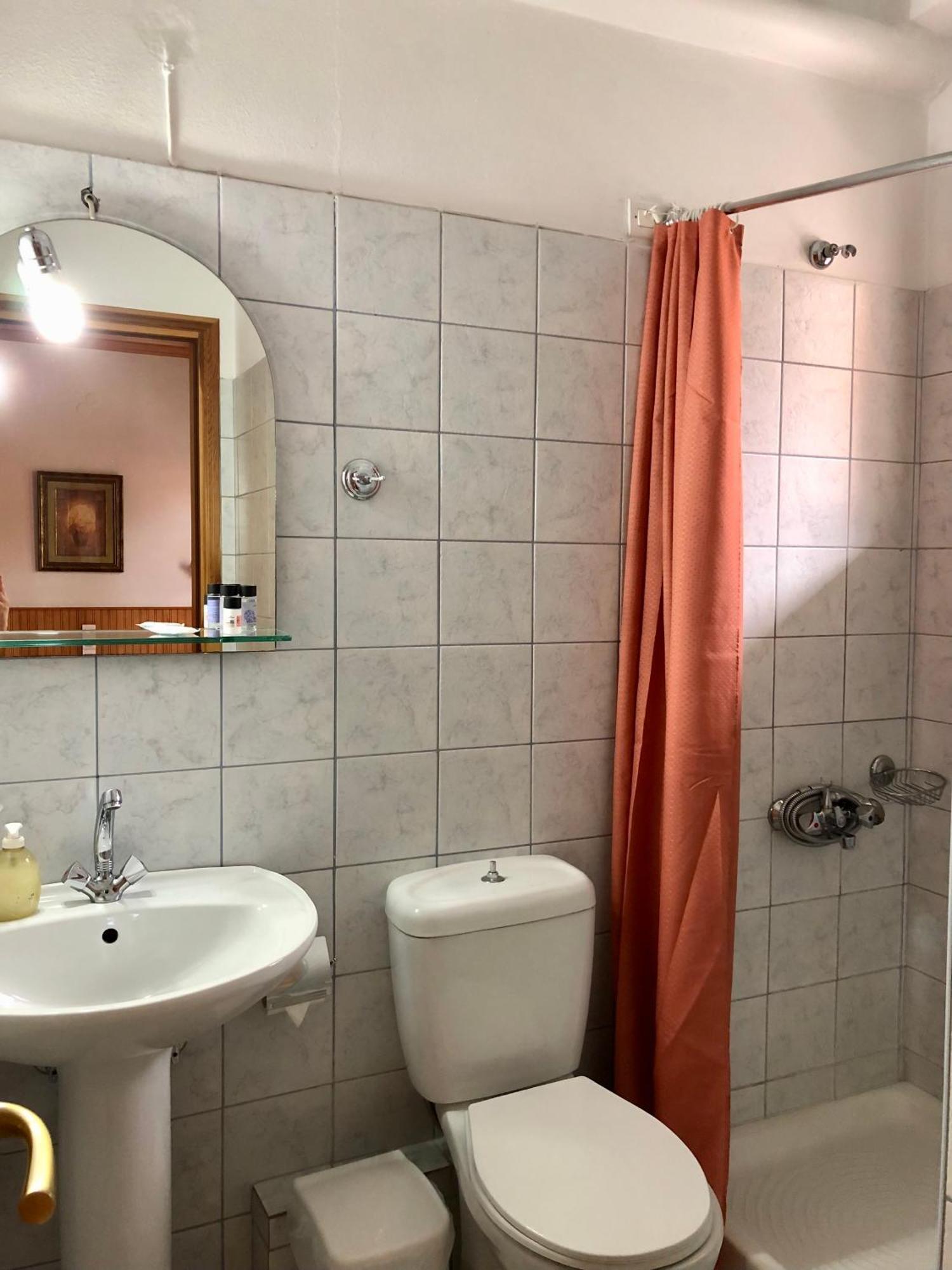 Apostolos Hotel Metsovo Rum bild